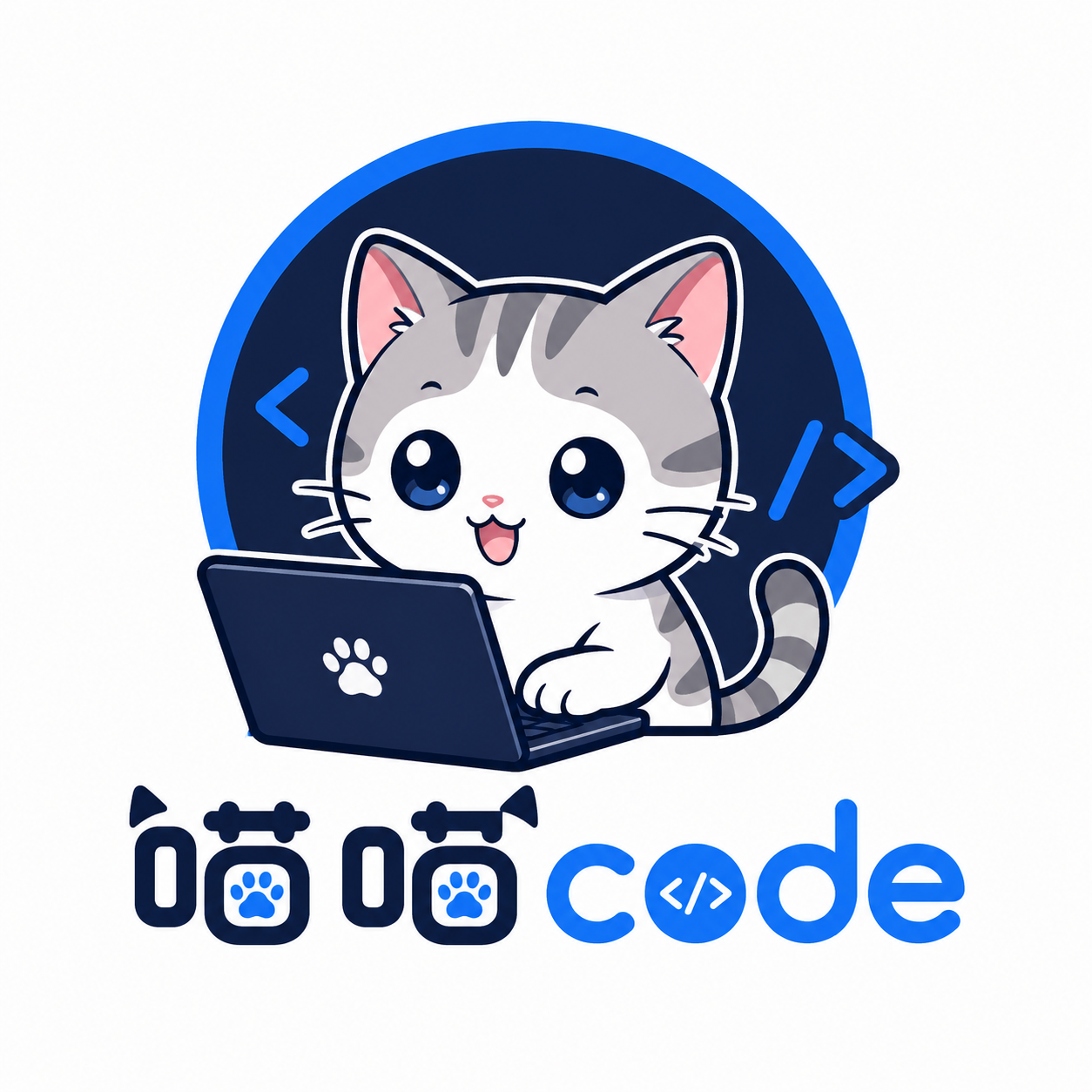 codex中转日卡100刀